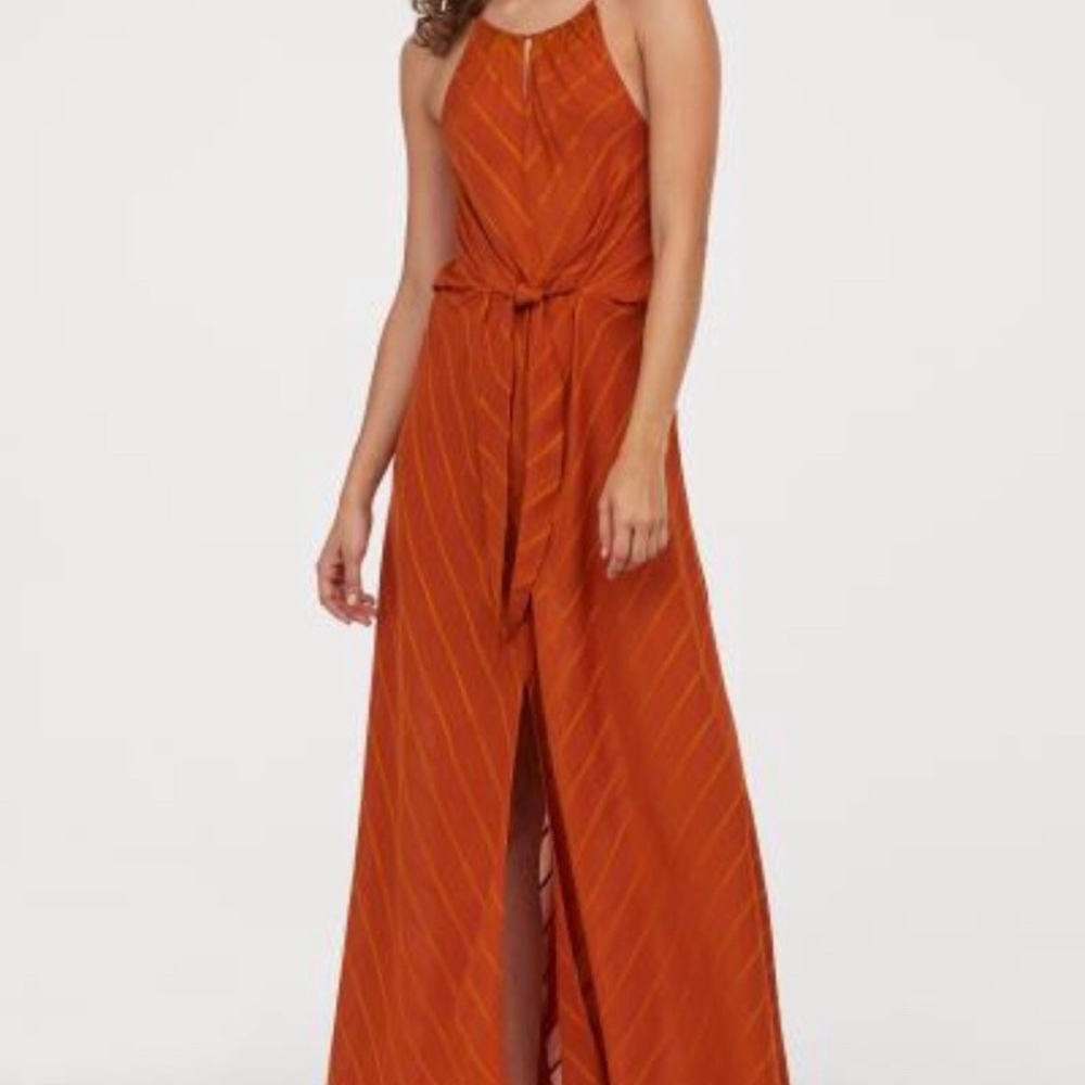H&M Dress with Tag